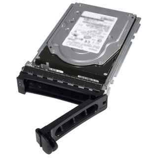 300GB 15K RPM SAS 12Gbps 2.5 in Hot-plug HDD