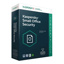 Kaspersky Small Office Security 8.0 5 postes + 1 server 